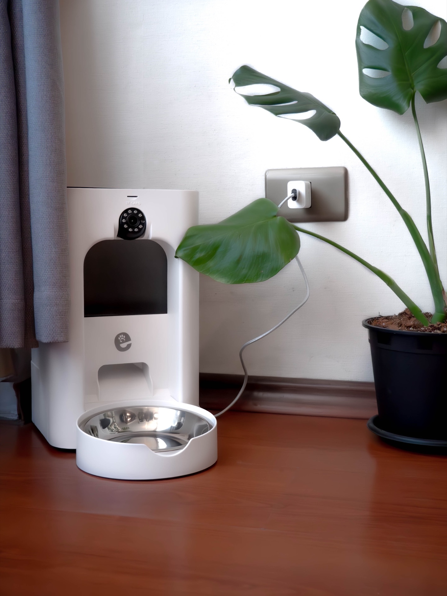 Intelligent Pet — Fotografía de Producto
